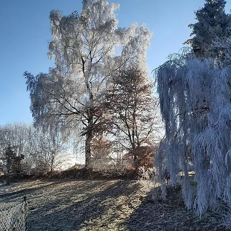 아파트 Anno Wohlfuehlidylle Kirchdorf im Wald